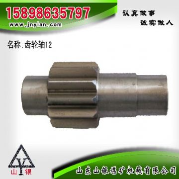 點擊查看詳細信息<br>標題：齒輪軸12 江陰系列配件 閱讀次數(shù)：2128