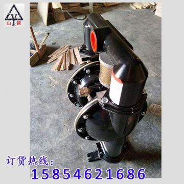 點(diǎn)擊查看詳細(xì)信息<br>標(biāo)題：氣動(dòng)隔膜泵著名品牌-氣動(dòng)隔膜泵廠家 閱讀次數(shù)：1892