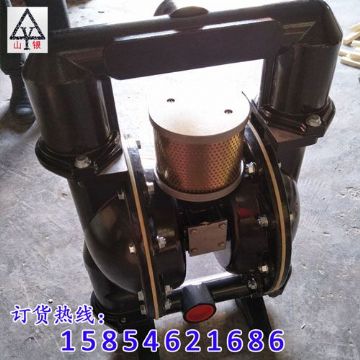 點擊查看詳細信息<br>標題：氣動隔膜泵 閱讀次數(shù)：1855