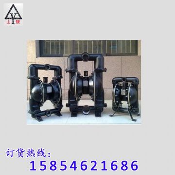 點(diǎn)擊查看詳細(xì)信息<br>標(biāo)題：氣動(dòng)隔膜泵 閱讀次數(shù)：1546