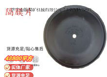 點(diǎn)擊查看詳細(xì)信息<br>標(biāo)題：氣動(dòng)隔膜泵配件-隔膜片 閱讀次數(shù)：198