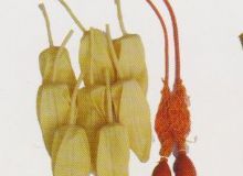 點擊查看詳細信息<br>標(biāo)題：取氣樣球膽 閱讀次數(shù)：106